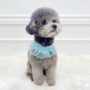 Toy Poodle Charm – Cute Fluffy Dog Keychain - Image 2