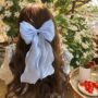 Aqua Breeze Ribbon Bow – Elegant Long Sheer Hair Clip 🌊 - Image 4