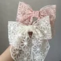 Floral Lace Ribbon Bow – Elegant Sheer Hair Clip 🌸